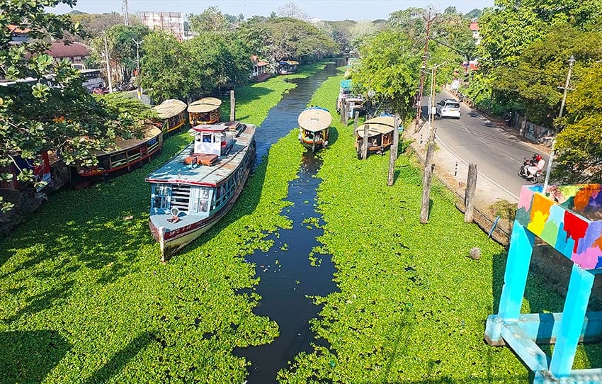 Alleppey Tour