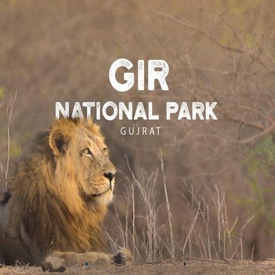 Gir National Park